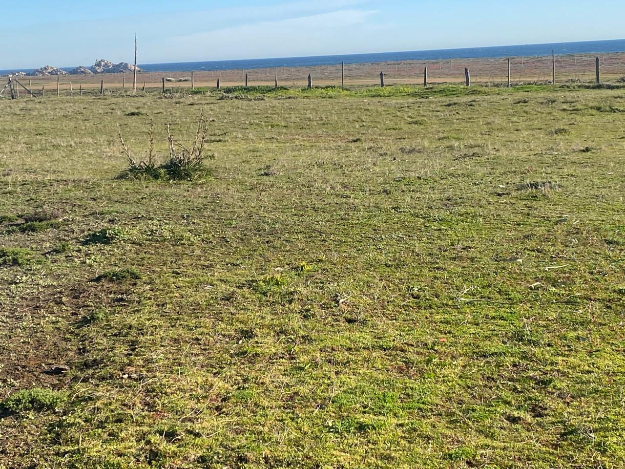 Parcela frente a la playa
